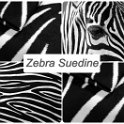 zebra sue